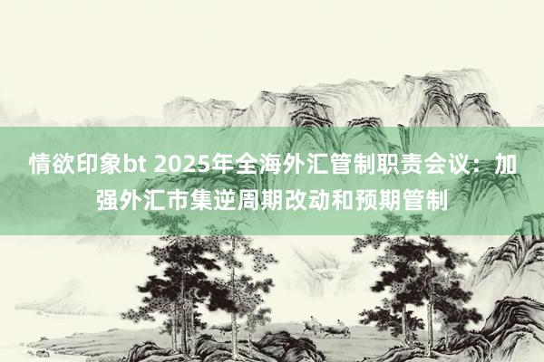 情欲印象bt 2025年全海外汇管制职责会议：加强外汇市集逆周期改动和预期管制