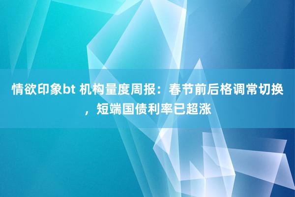 情欲印象bt 机构量度周报：春节前后格调常切换，短端国债利率