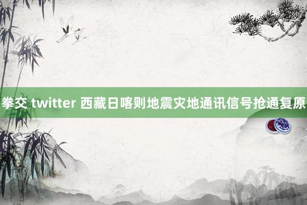 拳交 twitter 西藏日喀则地震灾地通讯信号抢通复原