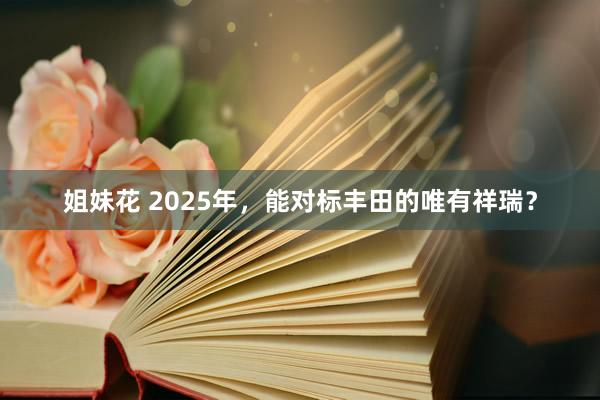 姐妹花 2025年，能对标丰田的唯有祥瑞？