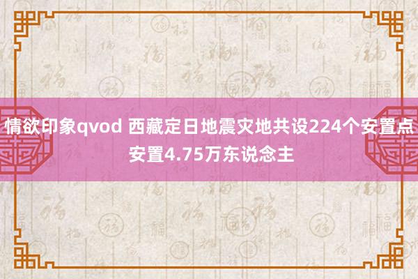 情欲印象qvod 西藏定日地震灾地共设224个安置点 安置4