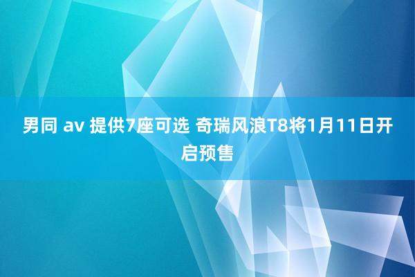 男同 av 提供7座可选 奇瑞风浪T8将1月11日开启预售