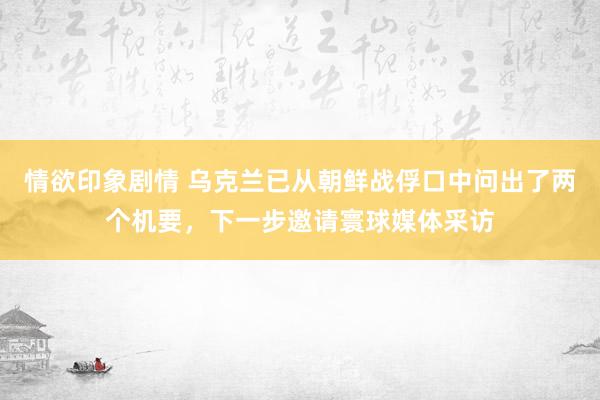 情欲印象剧情 乌克兰已从朝鲜战俘口中问出了两个机要，下一步邀请寰球媒体采访