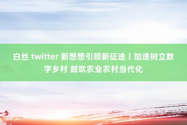 白丝 twitter 新想想引颈新征途丨加速树立数字乡村 鼓吹农业农村当代化