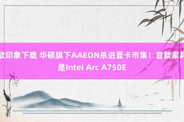 情欲印象下载 华硕旗下AAEON杀进显卡市集！首款家具竟是Intel Arc A750E