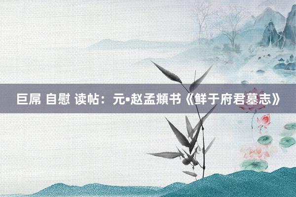 巨屌 自慰 读帖：元•赵孟頫书《鲜于府君墓志》