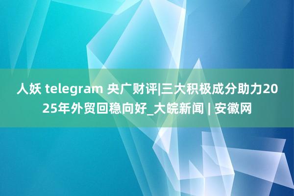 人妖 telegram 央广财评|三大积极成分助力2025年