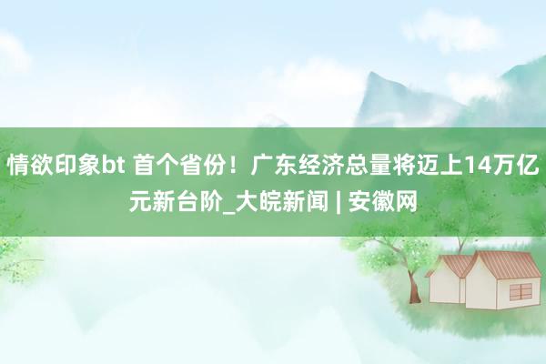 情欲印象bt 首个省份！广东经济总量将迈上14万亿元新台阶_