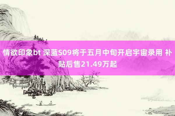 情欲印象bt 深蓝S09将于五月中旬开启宇宙录用 补贴后售2